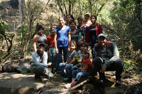 Biological Community Forest