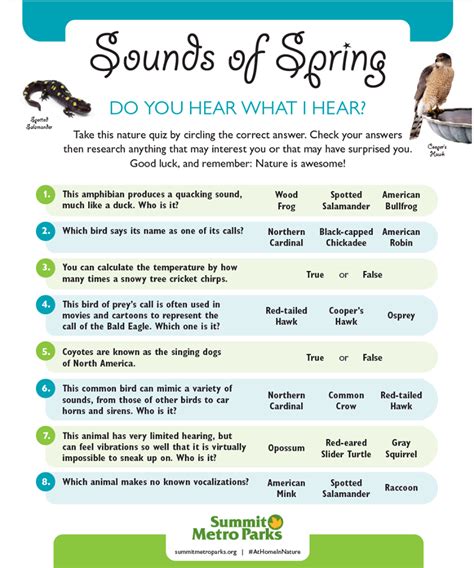 Image result for Spring Sounds