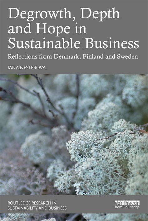 Degrowth, Depth and Hope in Sustainable Business: Reflections from ...