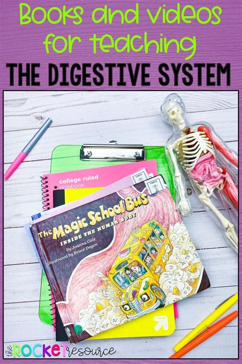 Image result for Digestive System Fun Activities