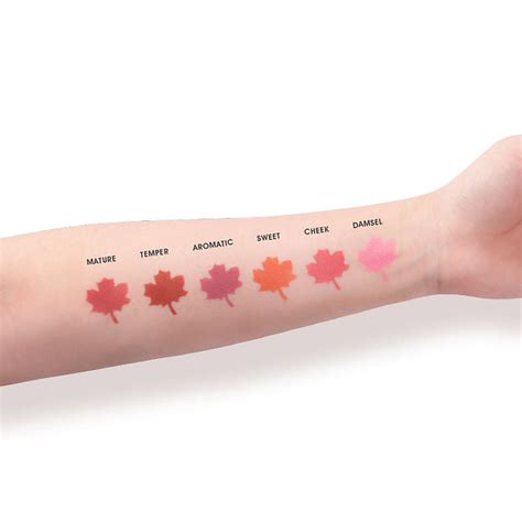 Buy IMAGIC PROfessional Cosmetic Touch Blush Palette 6 Color 80g at ...