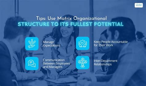 Matrix Organizational Structure Explained 的图像结果