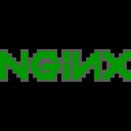 Nginx 的图像结果