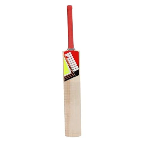 Buy Puma Future STB 1.1 Kashmir Willow Cricket Bat online-SCS Sports