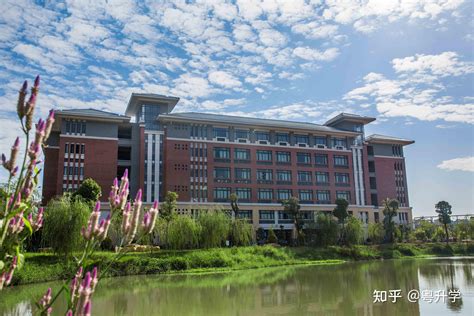 东莞两所“重量级”大学来了！松山湖科学城正式启航_深圳新闻网
