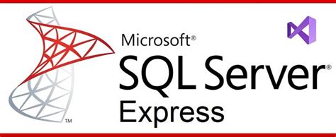 Visual Studio SQL Express 的图像结果