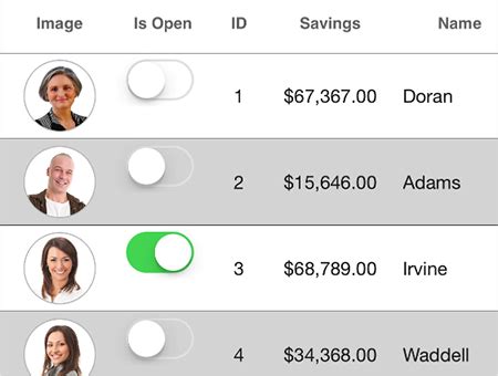 Image result for DataGrid iOS