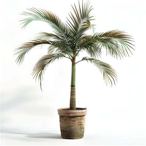 JavaScript Palm Tree Design Open Processing 的图像结果