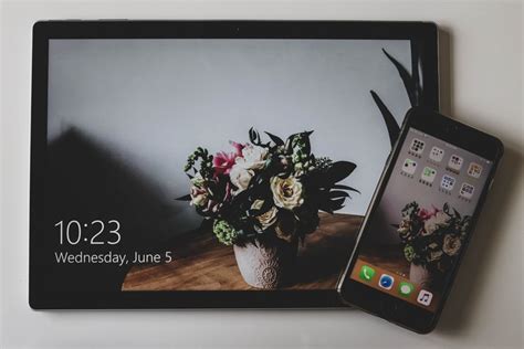 jackpot crazy app download ios,With its vibrant g