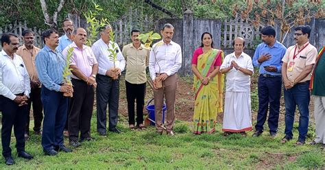 environment day celebration by planting fruit trees - environment day ...