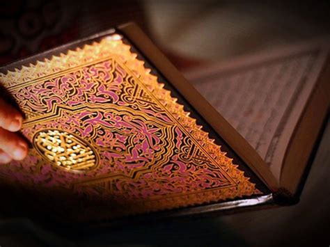 Image result for Arabic Language