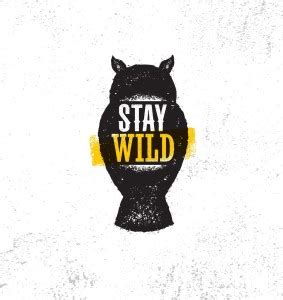 stay wild new |Motivational Poster|Inspirational Poster|Gym poster|All ...