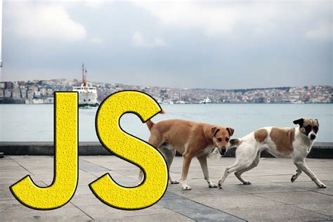 Fetch JavaScript 的图像结果