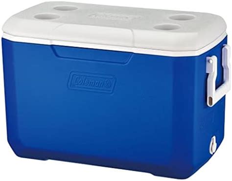 Buy COLEMAN 5 QT Ice Box (4.7 Liter) with Storage Capacity - 6 Cans and ...