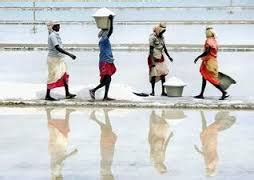 Anjaneya Salts | Bangalore | India