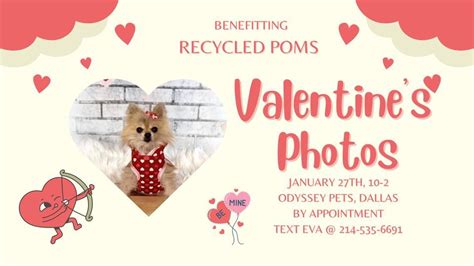 Valentine’s Photos, Odyssey Pets, Addison, January 27 2024 | AllEvents.in
