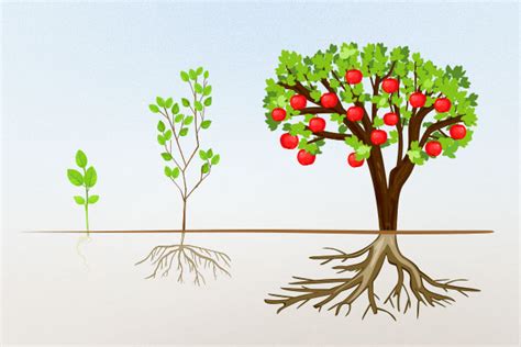 Image result for Visual Framework Personal Development