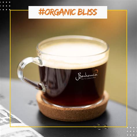 Organic Bliss Espresso Pods - Intensity 4/10 | Nespresso Compatible