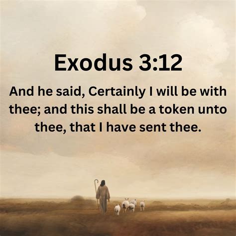 God's Perfect Timing: A Reflection on Isaiah 60:22 - Biblical Life Lessons