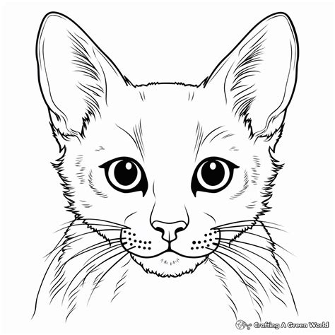 Siamese Cat Coloring Pages - Free & Printable!