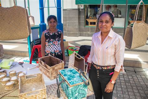Defining a road map for plastic-free Mauritius | United Nations ...