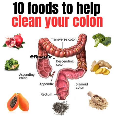 10 FOODS TO HELP CLEAN YOUR COLON Your colon is an important part of your digestive system, and ...