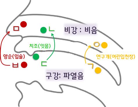 Code Generator Python Free 的图像结果