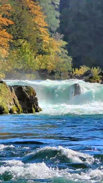 Asia Scenery 的图像结果