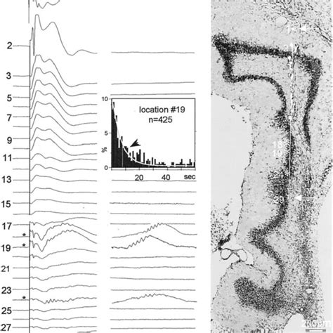 Map Pin Cluster 的图像结果