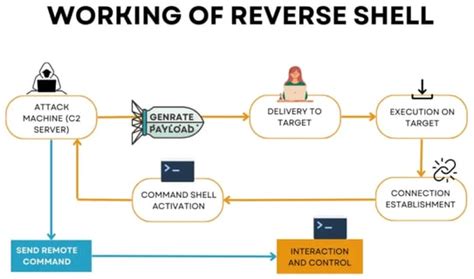 Image result for Reverse Shell Using NC