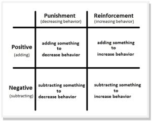 Image result for Associative Learning Examples
