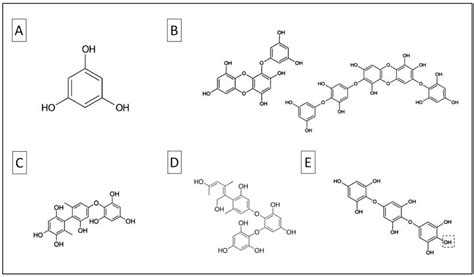 Ecological Function of Phenolic Compounds from Mediterranean Fucoid ...