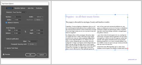 Image result for Text Frame InDesign