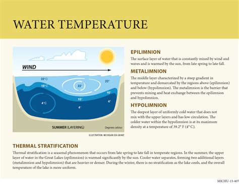 Dissolved Oxygen and Lake Stratification | Teaching Great Lakes Science
