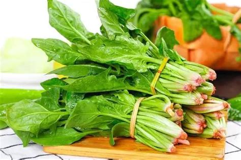 菠菜虽然营养，但不能乱吃，菠菜的食用禁忌要记牢，附6种做法_蔬菜_什么值得买