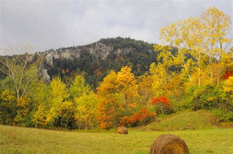 Peak Peeping Picks: The Best Spots for Fall Foliage - The Trustees of ...
