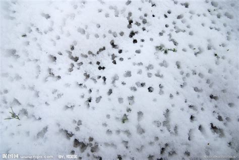 下雪 雪景 冬天摄影图__自然风景_自然景观_摄影图库_昵图网nipic.com