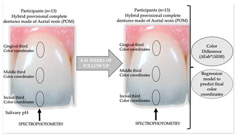 Colour Changes of Acetal Resins (CAD-CAM) In Vivo