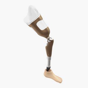 3D prosthetic Models for Your Projects | 3D Molier International Library