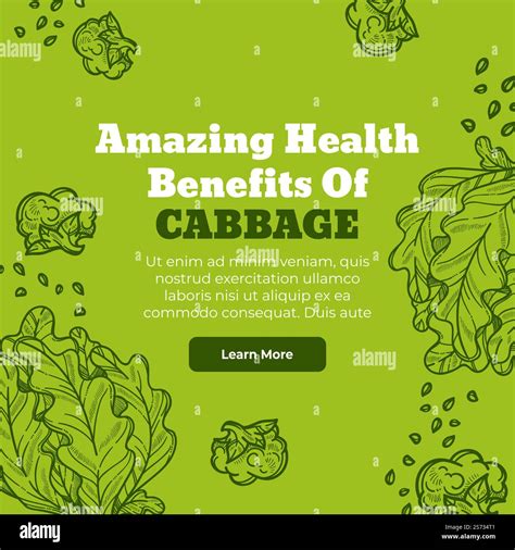 Health benefits of cabbage and green vegetables, healthy dieting and nutrition. Antioxidants and ...