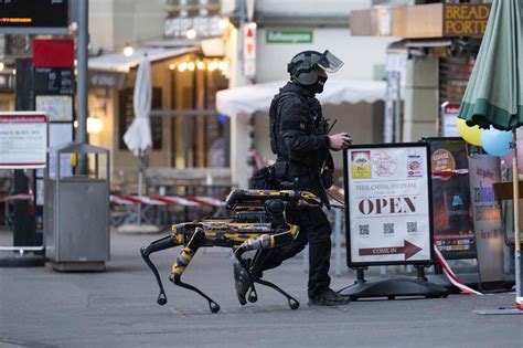 Roboterhund der Kantonspolizei Bern: Irritierendes Aussehen, sicherer ...
