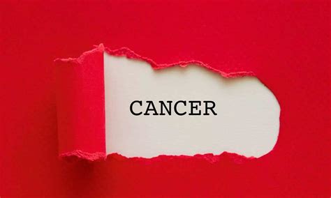All Cancer Drugs Regulated Under DPCO, 131 Formulations Price-Capped: Govt