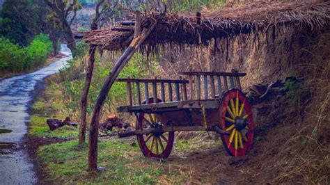 Village With No Doors: The mystery behind no doors in this village in ...