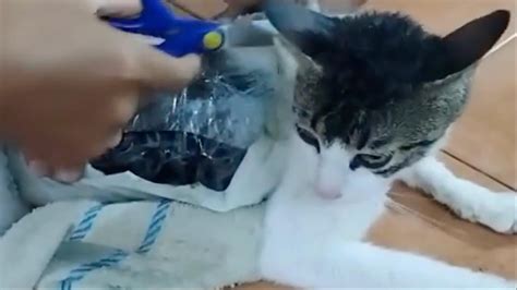 Police chase in Costa Rica ends with seizure of cocaine, marijuana ...