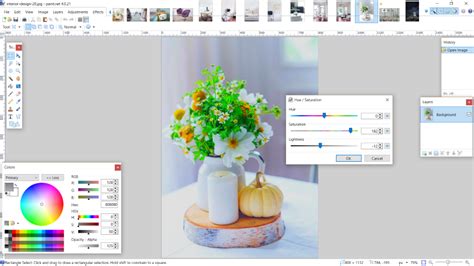 Image result for Color Model Dialog Box Microsoft Publisher