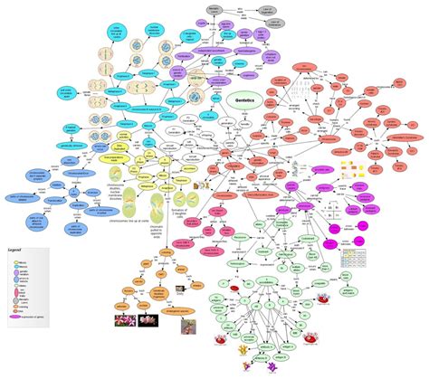 Biology Examples 的图像结果