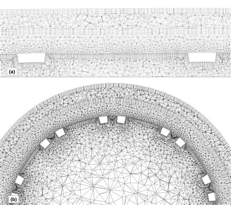 Longitudinal Section and Cross Section 的图像结果