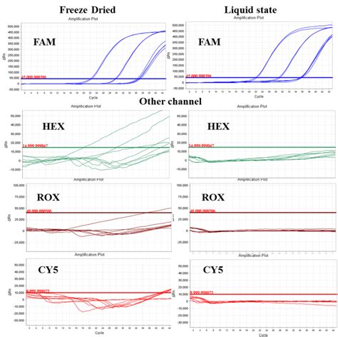 Image result for TaqMan Assay Signal Image Graph