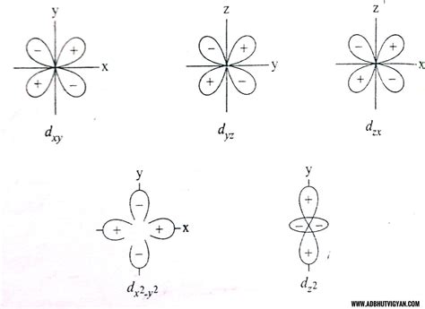 Draw the shape of dz² orbital - Brainly.in