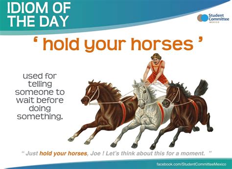 ' hold your horses ' IDIOM OF THE DAY | Idioms, English vocabulary ...